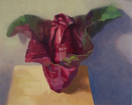 The Elegant Cabbage