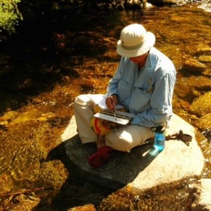 me in the stream