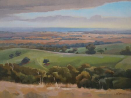 After the Storm - Willunga