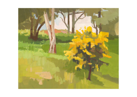 The Goddess Wattle